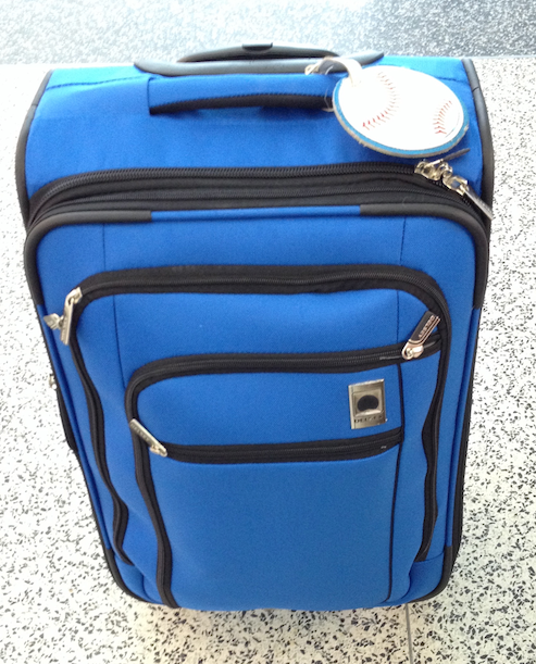 The new Delsay suitcase
